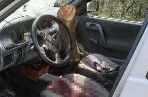 Kocaeli İzmit'te korku dolu anlar. Tomruk yüklü kamyondan düşen kütük