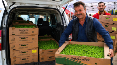 Kocaelili çiftçilere büyük müjde. TAKE Projesi kapsamında üreticilere yüzde 75