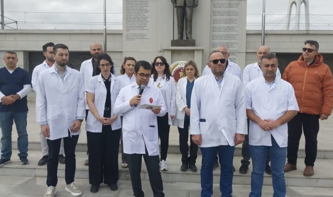 Kocaeli Veteriner Hekimleri Odası, Dünya Veteriner Hekimleri Günü’nde personel yetersizliğine