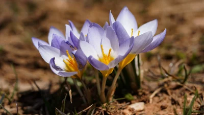 Kocaeli Büyükşehir Belediyesi’nin düzenlediği foto safari etkinliğinde Kartepe Kuzuyayla’da bulunan