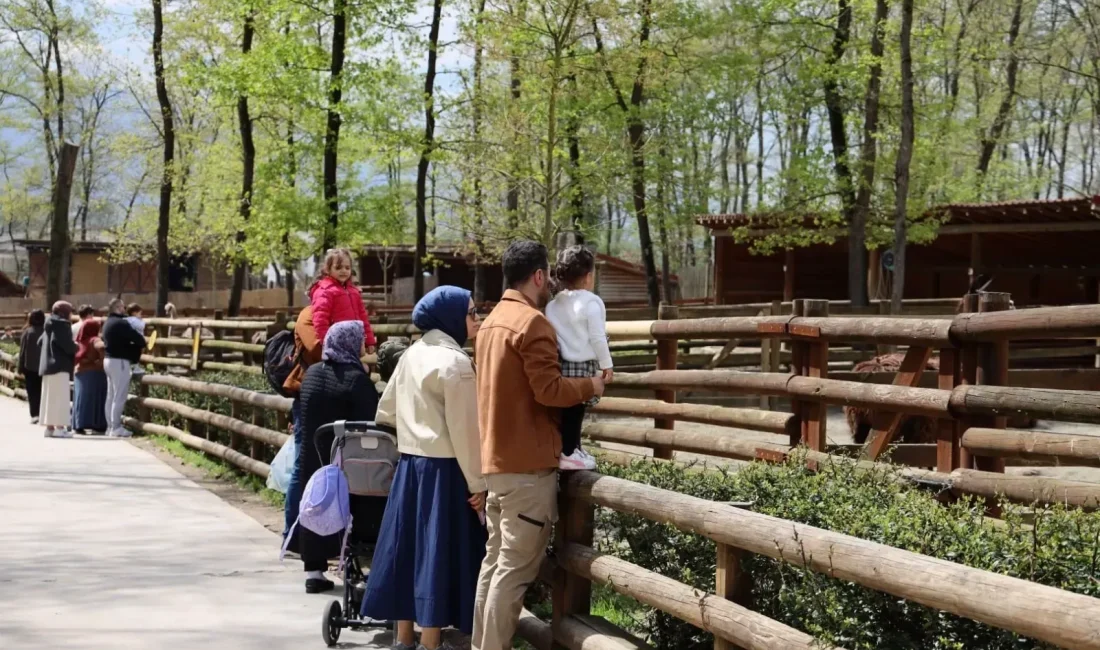 Baharın gelmesiyle Ormanya’da yürüyüş, bisiklet ve kamp alanlarına ilgi arttı.