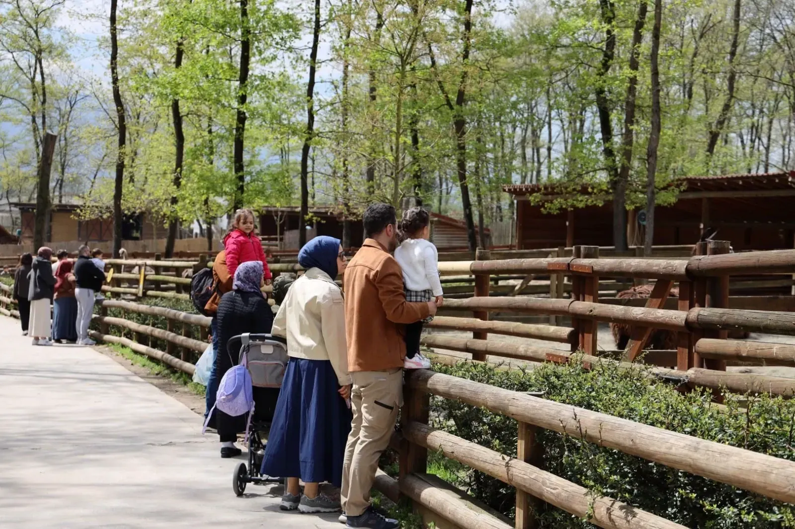 Baharın gelmesiyle Ormanya’da yürüyüş, bisiklet ve kamp alanlarına ilgi arttı.