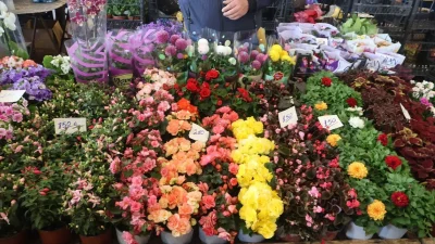 Doğu Kışla’da kurulan Perşembe Pazarı’nda bu hafta meyve sebzeden çok