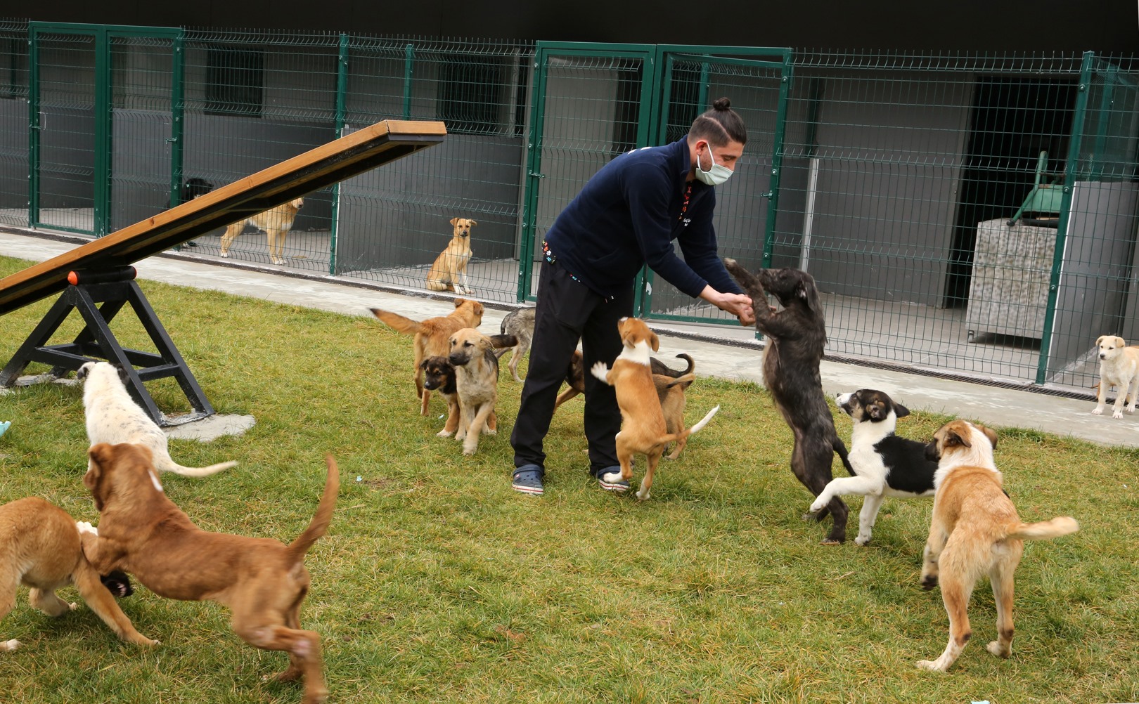 Başiskele Belediyesi, sokak hayvanları rehabilitasyon merkezinin kapasitesini 600’e çıkaracağını açıkladı.