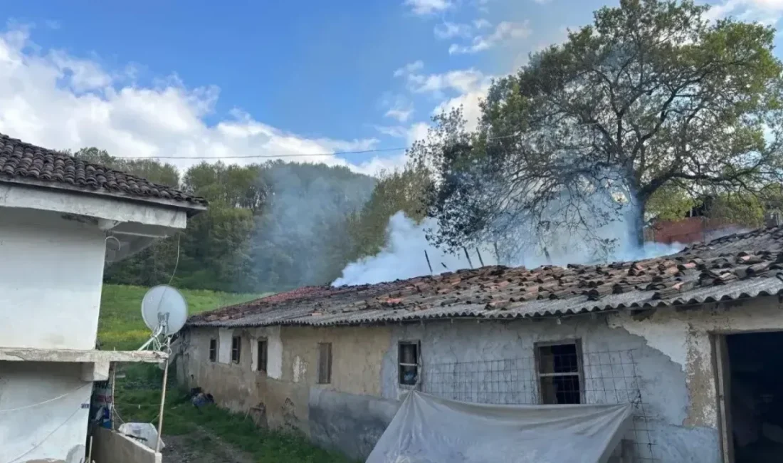 Kocaeli Karamürsel ilçesine bağlı Çamdibi Mahallesi’nde bir samanlıkta çıkan yangın