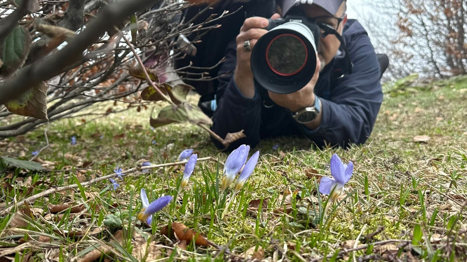 Kartepe Kuzuyayla’da düzenlenen foto safari etkinliğinde doğaseverler, dünyada sadece bu bölgede yetişen Keltepe Çiğdemi’ni karlar arasında görüntüleme fırsatı buldu.