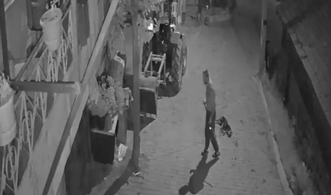 Kocaeli’nin İzmit ilçesinde bir şahıs, tasmalı köpeği demir sopayla öldürdü.