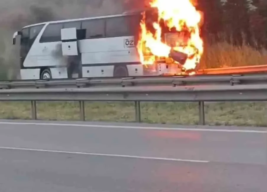 TEM Otoyolu’nun Kocaeli geçişinde seyir halindeki şehirlerarası yolcu otobüsü alevlere