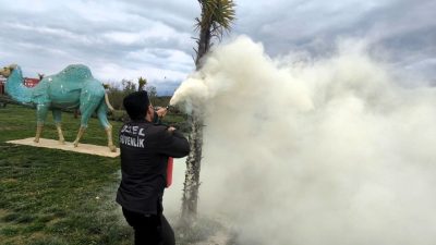 Kocaeli Dilovası Millet Bahçesi’nde tutuşan palmiye ağacı, Büyükşehir Belediyesi zabıta