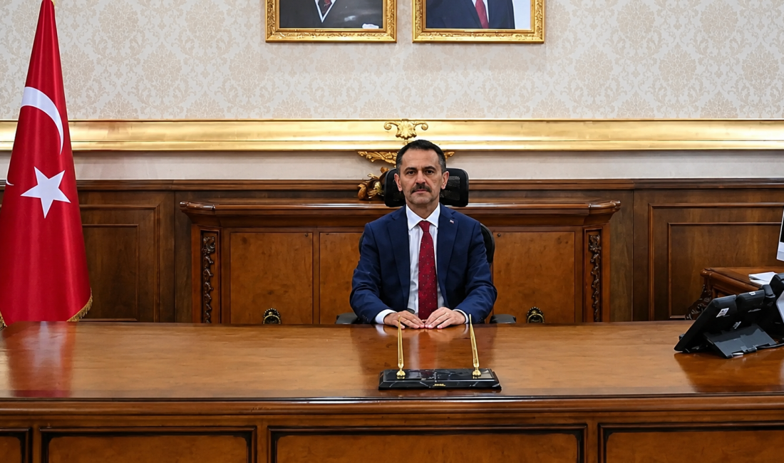 Kocaeli Valisi İlhami Aktaş, Anneler Günü dolayısıyla yayımladığı mesajda annelerin