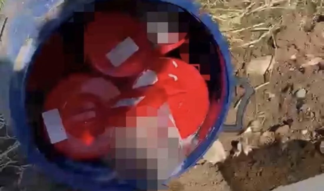 Şanlıurfa’daki Yeni Asri Mezarlığı’nda bulunan bir bidonun içerisindeki plastik kutularda