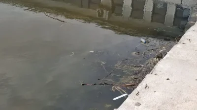 İzmit Vapur İskelesi çevresinde deniz yüzeyinde oluşan kirlilik vatandaşların tepkisini
