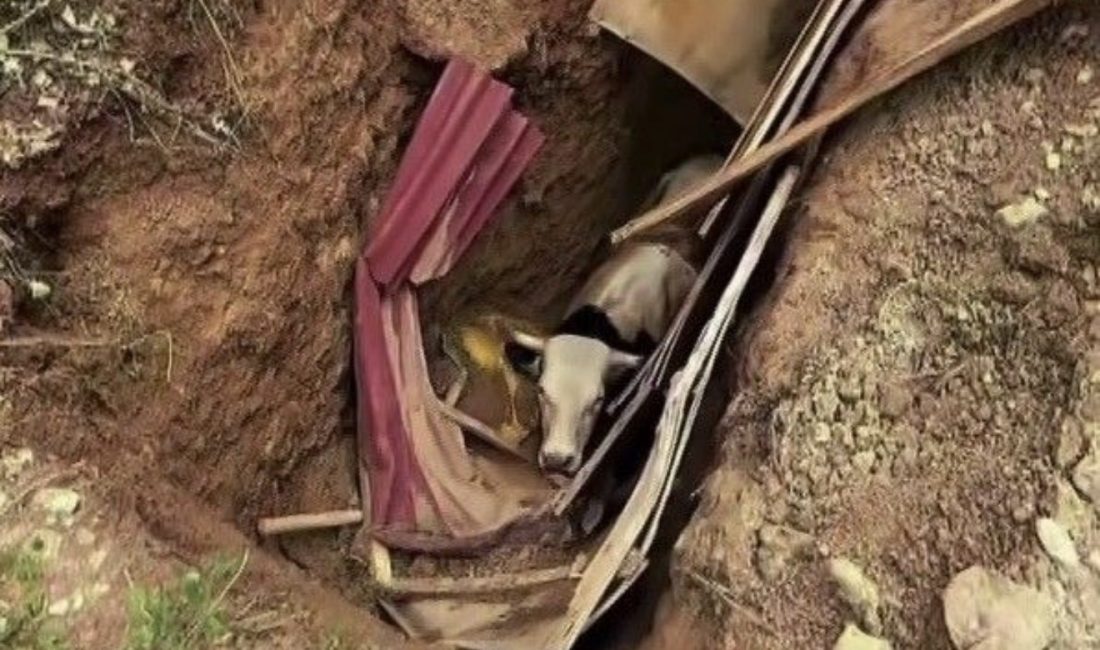 İzmit’te defineciler tarafından kazıldığı iddia edilen yaklaşık 15 metrelik çukura