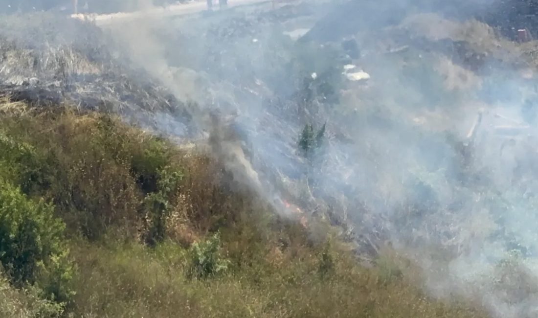 Kocaeli’nin Darıca ilçesinde otluk alanda çıkan yangın, itfaiye ekipleri ile