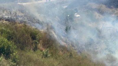 Kocaeli’nin Darıca ilçesinde otluk alanda çıkan yangın, itfaiye ekipleri ile
