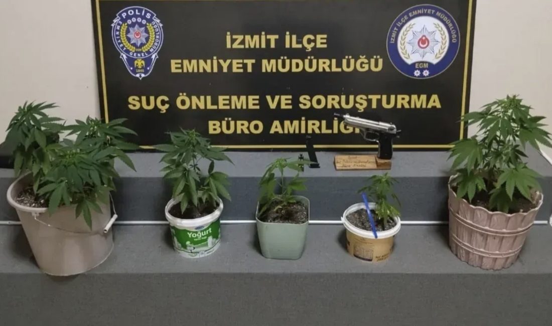 Kocaeli Emniyet Müdürlüğü ekiplerinin İzmit’te düzenlediği operasyonda, evinde saksılar içinde