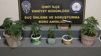 Kocaeli Emniyet Müdürlüğü ekiplerinin İzmit’te düzenlediği operasyonda, evinde saksılar içinde