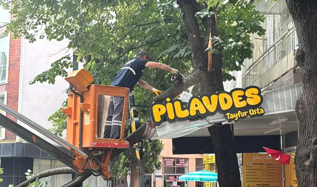 Kocaeli'nin İzmit ilçesinde sabah saatlerinde yaşanan olay paniğe neden oldu.