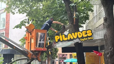 Kocaeli'nin İzmit ilçesinde sabah saatlerinde yaşanan olay paniğe neden oldu.