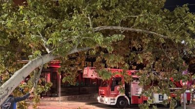 Kocaeli’nin İzmit ilçesinde çınar ağacından kopan dalın tramvay hattına düşmesi