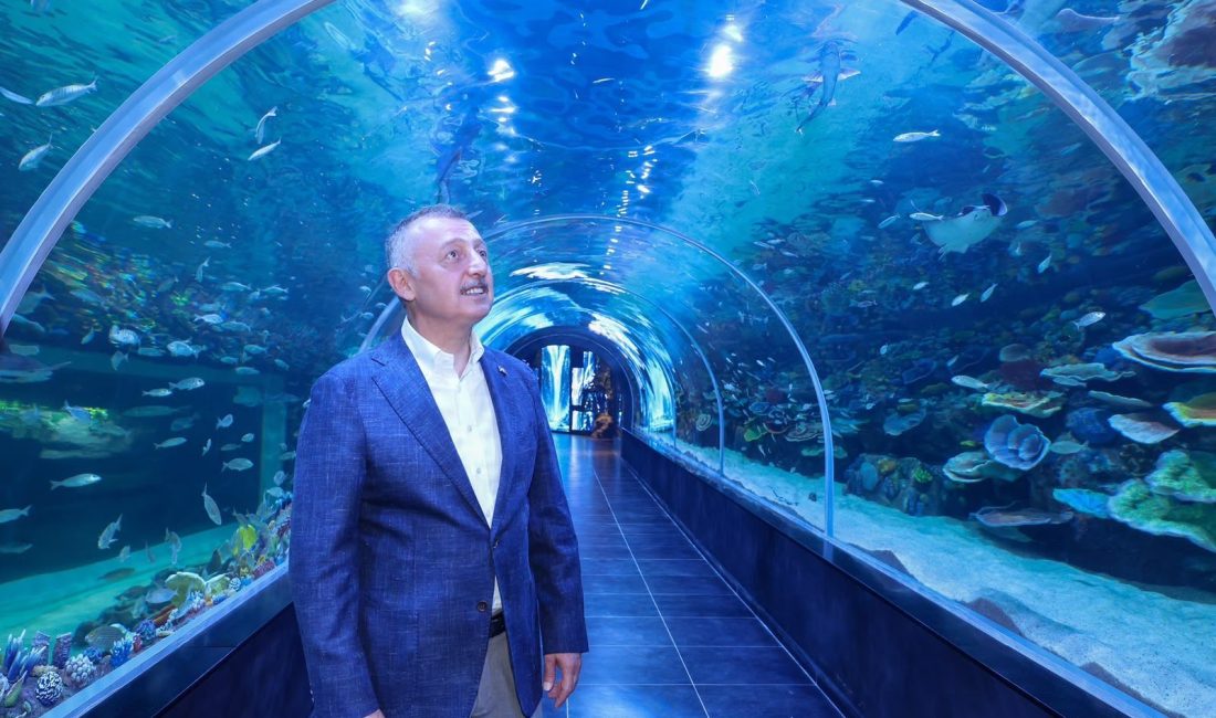 İzmit Millet Bahçesi'nde hizmete girecek Körfez Aqua Kıtalar Akvaryumu 20