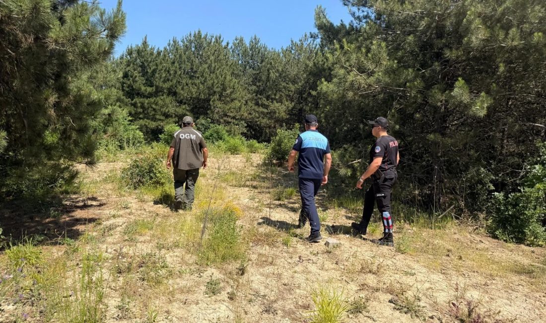 Yaz sıcaklarının etkisini artırmasıyla birlikte Dilovası’nda orman yangınlarına karşı denetimler
