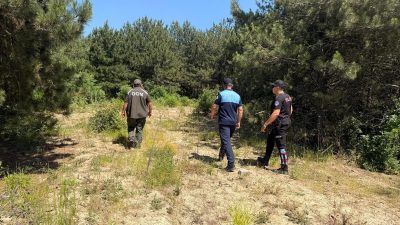 Yaz sıcaklarının etkisini artırmasıyla birlikte Dilovası’nda orman yangınlarına karşı denetimler