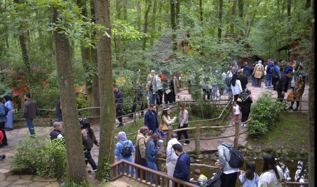 Kocaeli Büyükşehir Belediyesi'nin doğa turizmine kazandırdığı doğal yaşam alanları, 9