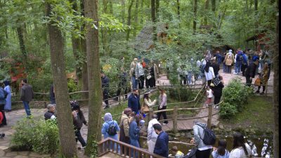 Kocaeli Büyükşehir Belediyesi'nin doğa turizmine kazandırdığı doğal yaşam alanları, 9