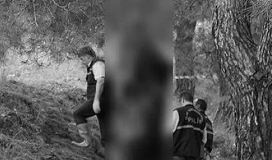 Kocaeli'nin Körfez ilçesinde sabah saatlerinde parkta ağaca asılı halde bulunan