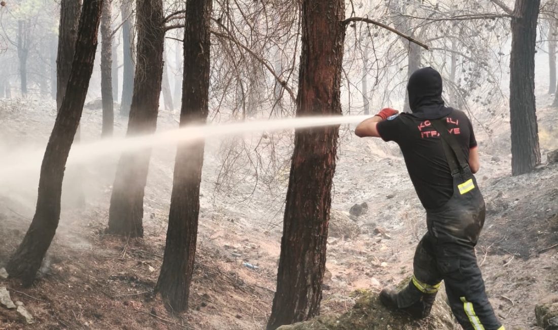 Kocaeli Büyükşehir Belediyesi, Balıkesir'in Gömeç ilçesinde çıkan orman yangınına müdahale