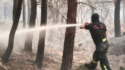 Kocaeli Büyükşehir Belediyesi, Balıkesir'in Gömeç ilçesinde çıkan orman yangınına müdahale
