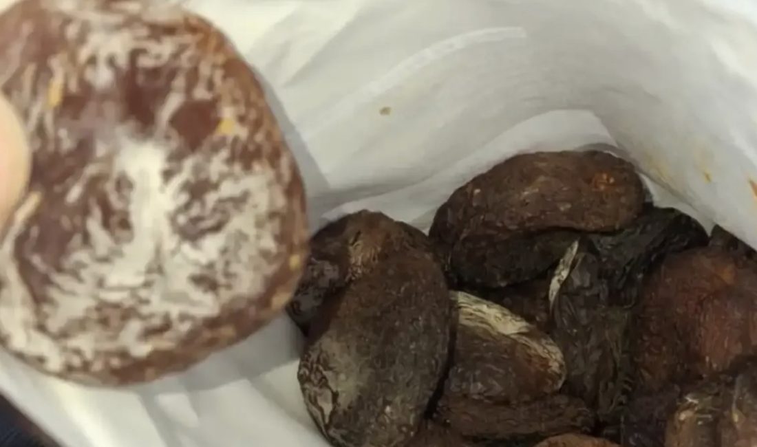 Kartepe’de bir zincir marketten satın aldığı paketli kuru kayısının küflü