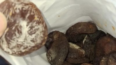 Kartepe’de bir zincir marketten satın aldığı paketli kuru kayısının küflü
