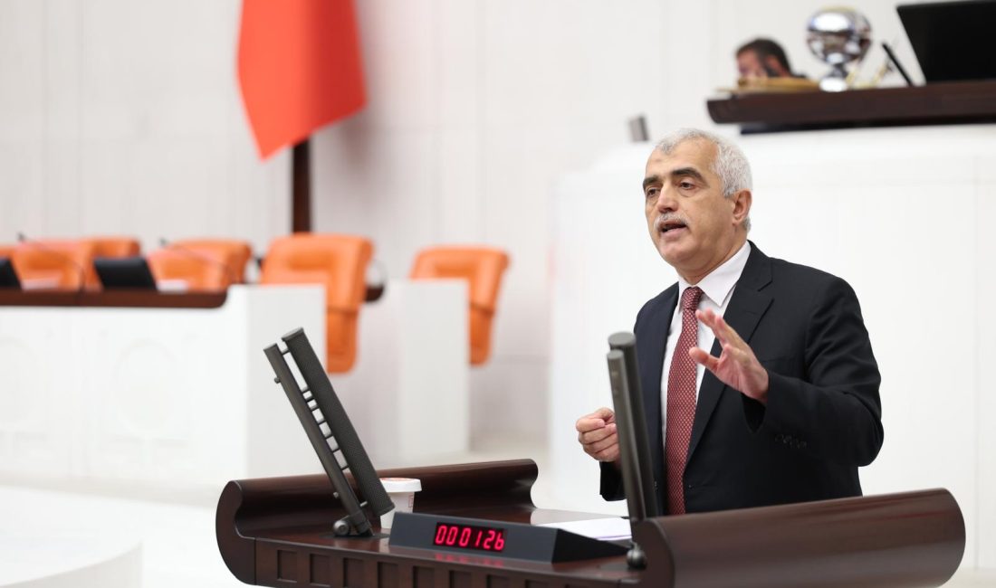 DEM Parti Kocaeli Milletvekili Ömer Faruk Gergerlioğlu, TBMM Genel Kurulu'nda