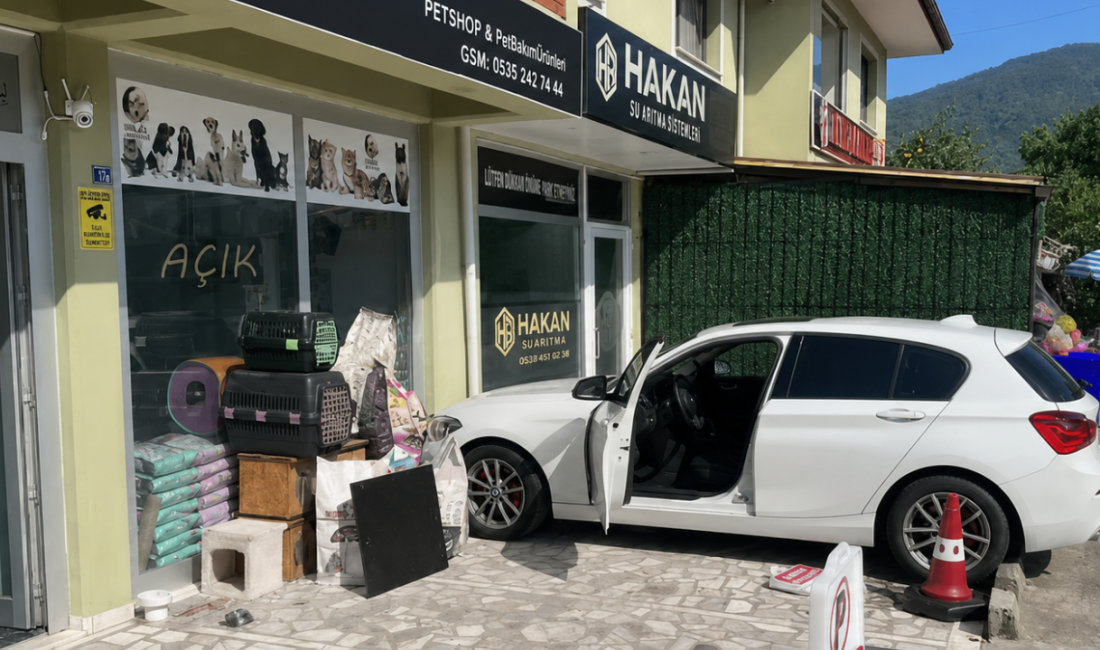 Kartepe Maşukiye'de park etmeye çalışan sürücünün fren yerine gaza bastığı