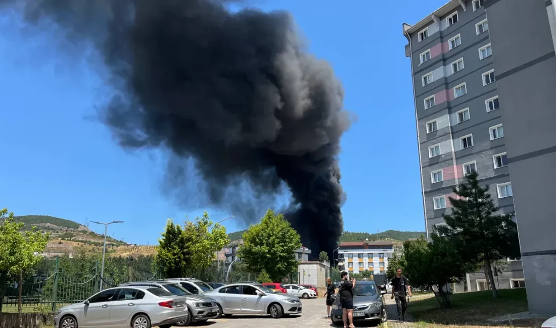 Kocaeli'nin Körfez ilçesinde bir iş yerinde çıkan yangın paniğe neden