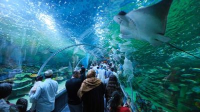 İzmit Millet Bahçesi’nde 20 Haziran’da açılan Körfez Aqua Kıtalar Akvaryumu,
