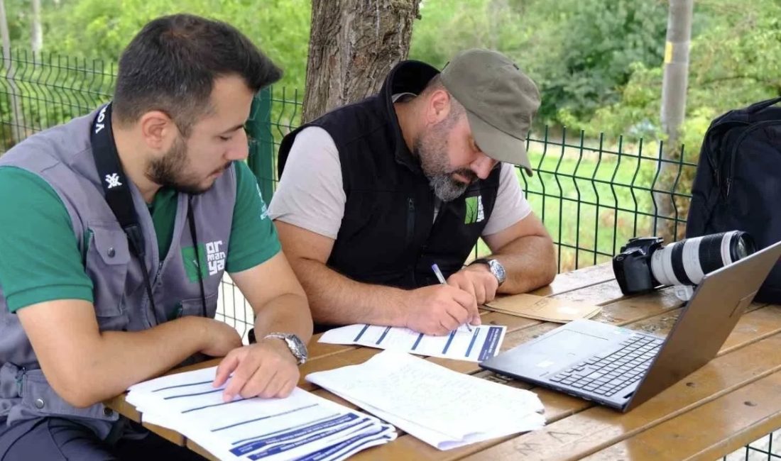 Kocaeli’de leylek yuvalarının konumlarının belirlenerek bilimsel yöntemlerle kayıt altına alınması