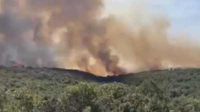 Kocaeli’nin Gebze ilçesinde orman dışı alanda başlayarak ormanlık alana sıçrayan