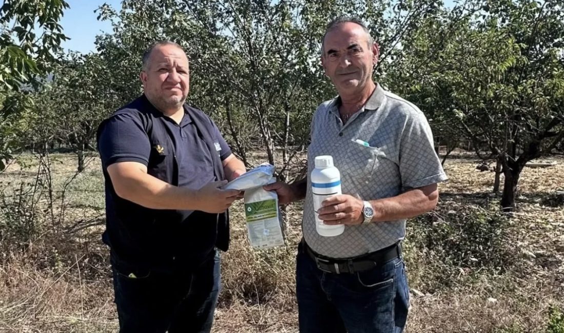 Kocaeli’nin İzmit ilçesinde geçtiğimiz aylarda etkili olan dolu yağışının meyve