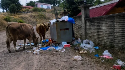 Kocaeli’nin Körfez ilçesine bağlı Elmacık Köyü’nde günlerdir toplanmadığı öne sürülen