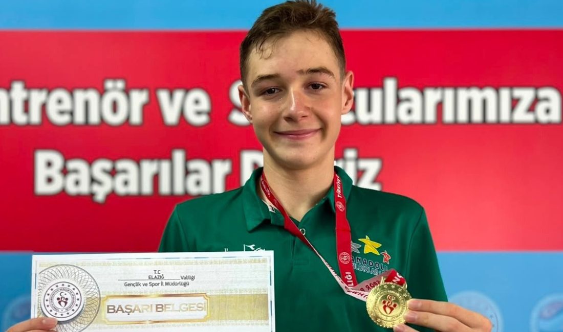 İzmit’in yetiştirdiği 13 yaşındaki Çınar Yiğit Şahin, ANALİG Türkiye Şampiyonası’nda