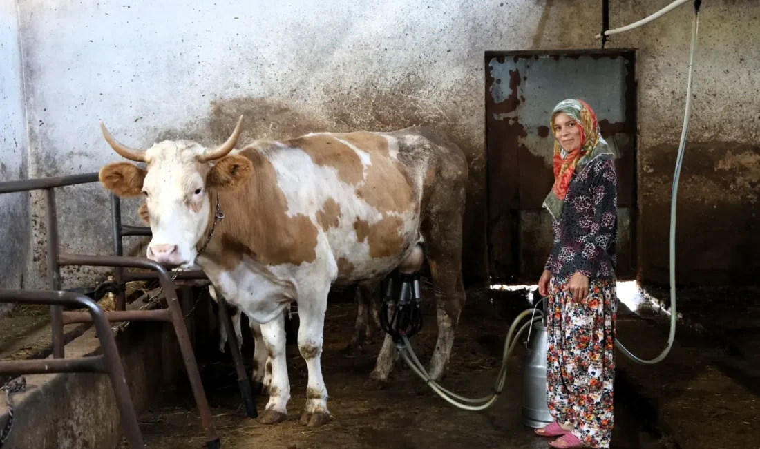 Kocaeli Büyükşehir Belediyesi’nin yüzde 50 hibe desteğiyle Derince Çavuşlu’da kurulan