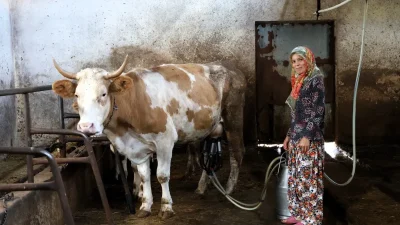 Kocaeli Büyükşehir Belediyesi’nin yüzde 50 hibe desteğiyle Derince Çavuşlu’da kurulan